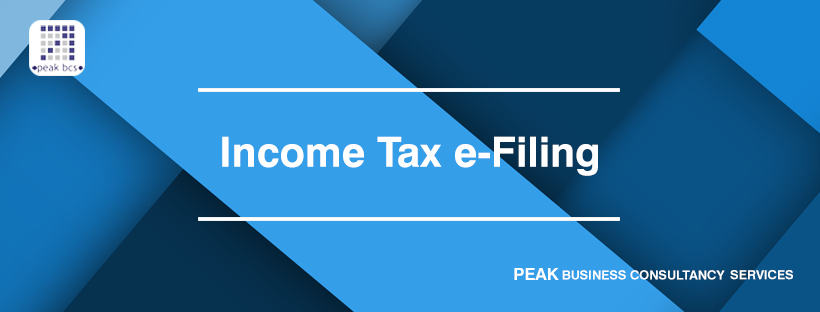 Income Tax Return filing Service provider
