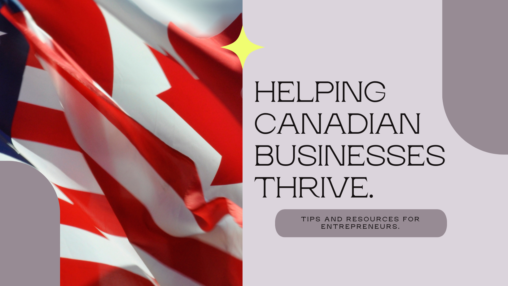 Grants and contributions, loans, tax credits, wage subsidies, and other business supports in Canada